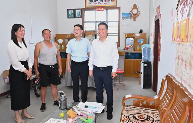 严汉平调研抓党建促乡村振兴和党建引领基层治理工作